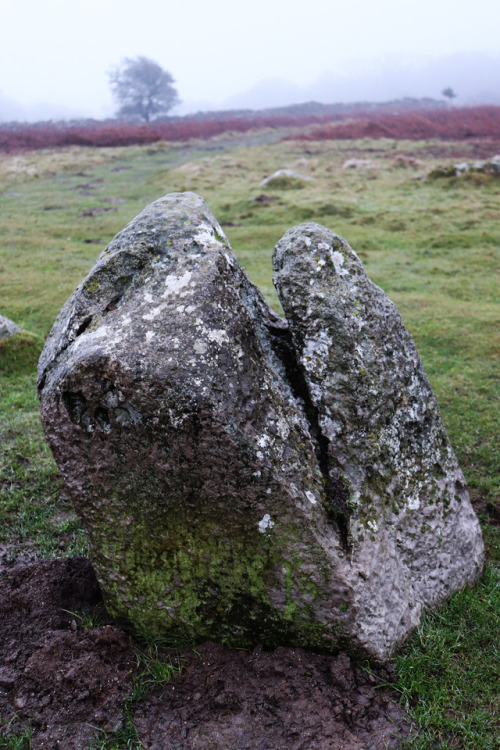 thesilicontribesman:Birkrigg Stone Circle, near Ulverston, Lake District on the Winter Solstice 2017