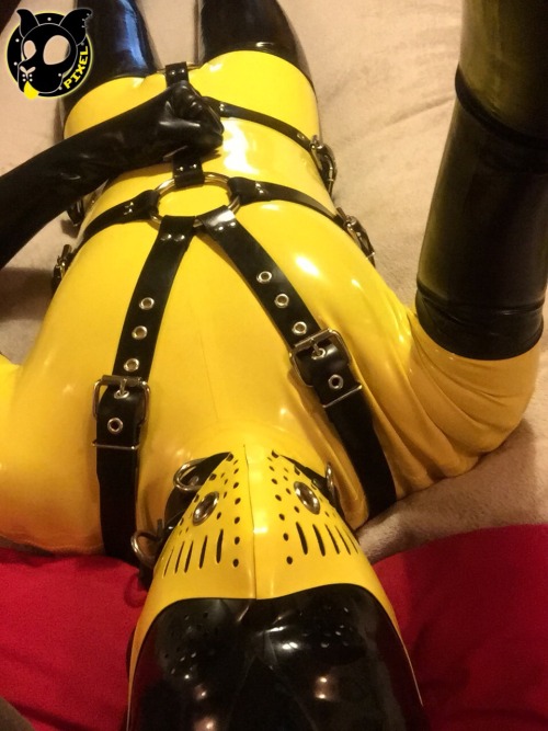 puppixel:  Making a Colour DroneI was wondering whether drones needed to wear full-black rubber, decided to try an outfit with my yellow surf suit. What do you think, are colour drones a thing?Yellow rubber surf suitRubber stockingsShoulder length rubber