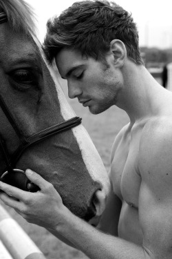 2hot2bstr8:  one of my new all-time favorite pictures. this guy is so handsome and i love horses….absolutely adorable picture♡ 