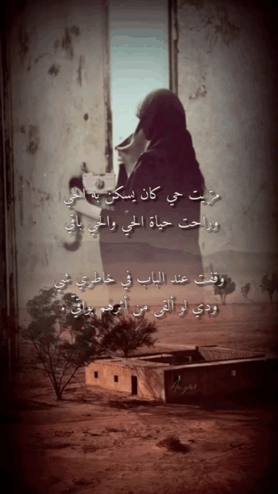 lavender-i-21 - ضياء الراك○•°`