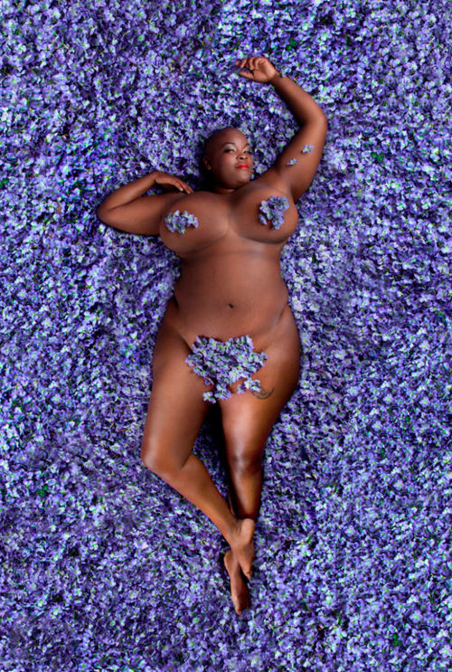 afrodesiacworldwide: photohab American Beauty Project by Carey Fruth 