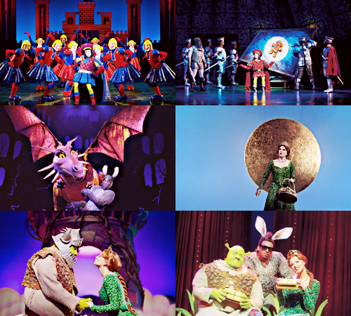 ibangmyowndrum: MUSICAL MEME ♫ [7/?] MUSICALS: SHREK  Brave Sir Knight, slow down a b