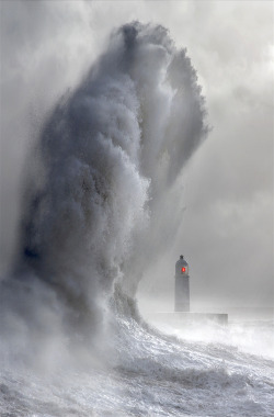 Wow4Any:lighthouse Wave By Steve Garrington