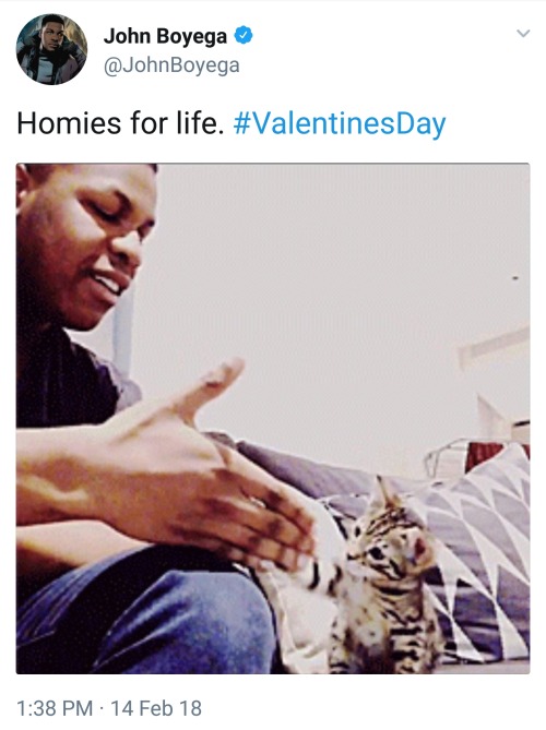 painkillerscoffeeandcathair:  dicktouchingfinn:  dicktouchingfinn: I saw the twitter alert on my phone about “John Boyega tweeted “homies for life” for valentines day” and I said to myself “please let it be a picture of his cat please god give