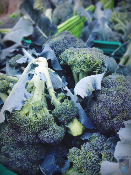 Broccoli grown in the Hyperborean Garden.