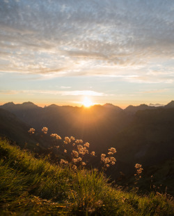 sandramode:Allgau Sunrise