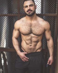 wrestle-bear:  beardburnme: A.hfmnn instagram Andre Hofmann always looks hot!!! 