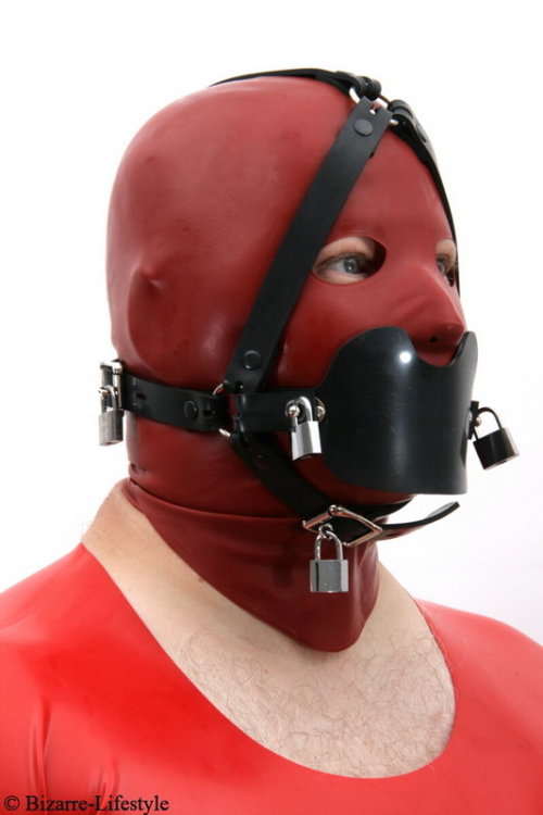 rubberdogbronco:Systemknebel Kopfgeschirr schwarz Option verschiedene Knebel und abschließbar https: