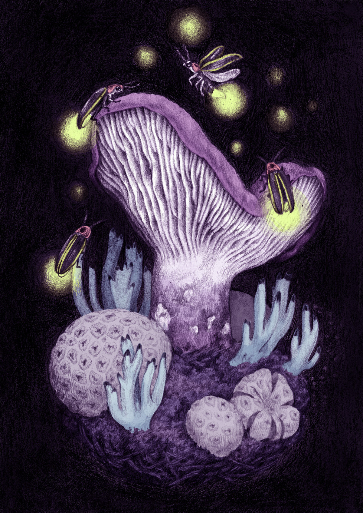 compassandwheel:  A series of mushroom illustrations! Might be printin’ these up