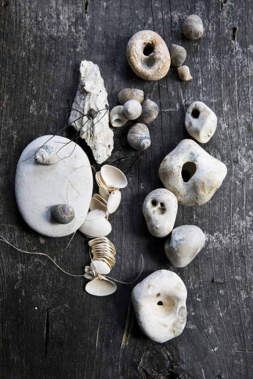 Test_0396 (Nicole Franzen Photography )