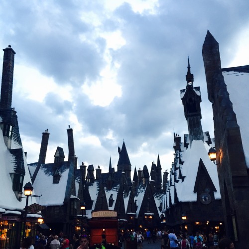 lichtenstien - The Wizarding World of Harry Potter ⚯͛ •...