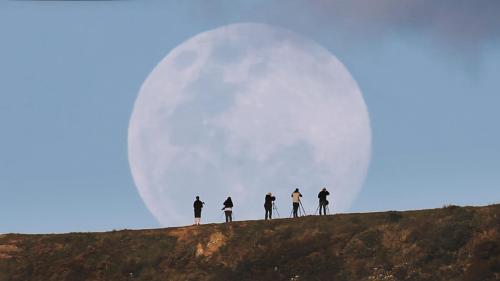 just–space: Photographers photographing the super moon in Wellington, New Zealand js