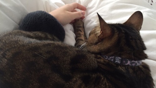 ghostquick:this is what love looks like.