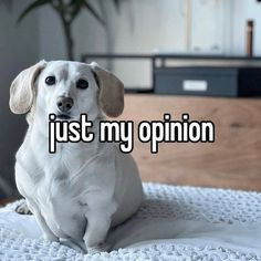 ( Btw I'm Not. Actually Homophobic. Just Making That Clear)