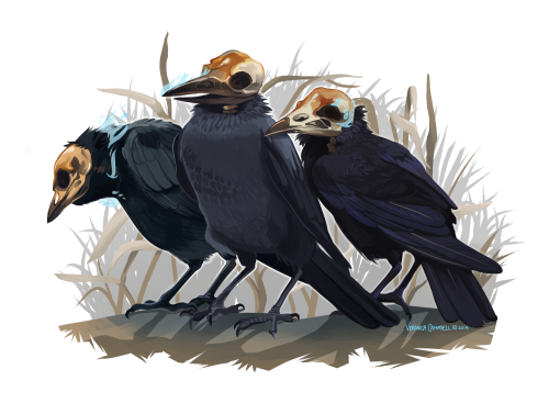 kittykichi:Skull Crows from my livestream!