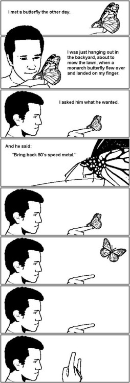 metal butterfly