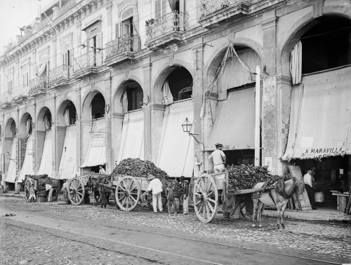 An ice cream vendor, fruit wagons unloading outside a market, a coconut merchant’s wagon and a flowe