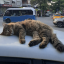 derinlerdebiryerdesen