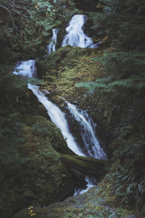 lemographie:PNW | Laura Marshall