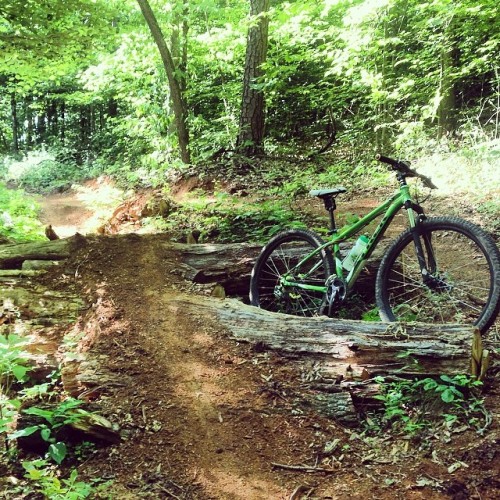 ahhyea777: When a tree falls in the woods…you build a jump out of it! #mtb #trek #trail #mountainbik