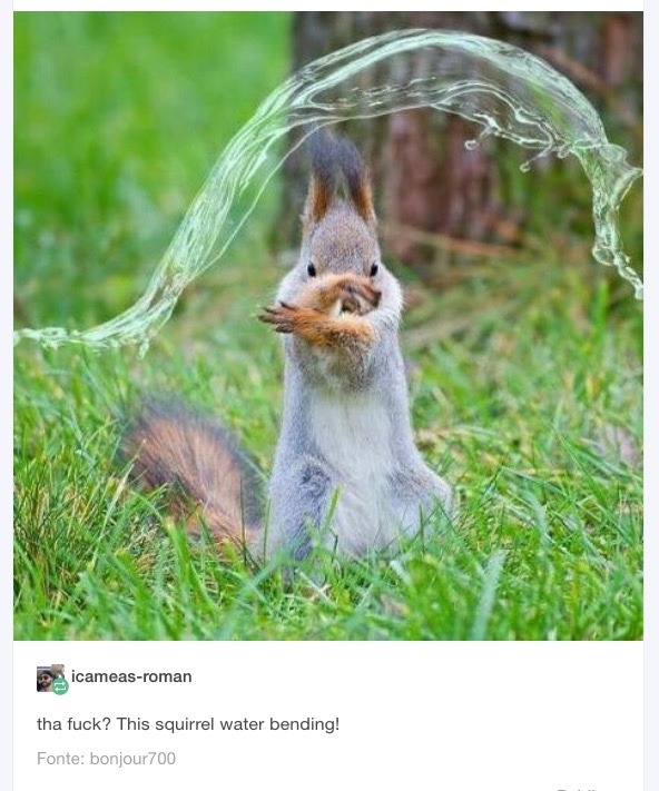 the-spirit-of-the-avatar:  But I believe that Squirrel can save the world 