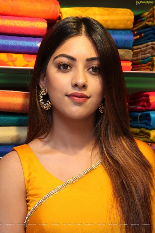 sexy-indian-actress:Beautiful Anu Emmanuel In Yellow Saree…..#1098#43608 Followers…