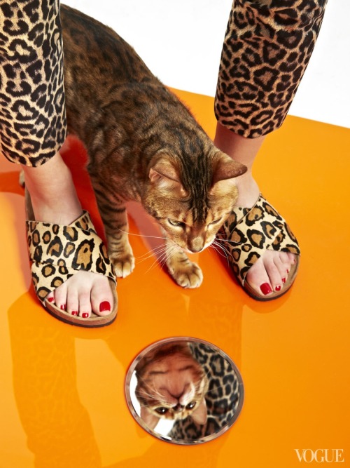 kikiavelarferreira:The Cat  and the Flat photographed by Charlie Engman  for Vogue, March 2014