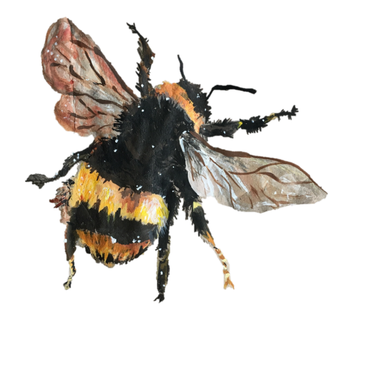 xeptum:    save the bees🐝 That’s…