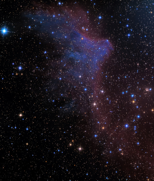 spacewonder19: Ghosts of Cassiopeia; IC 59 & 63