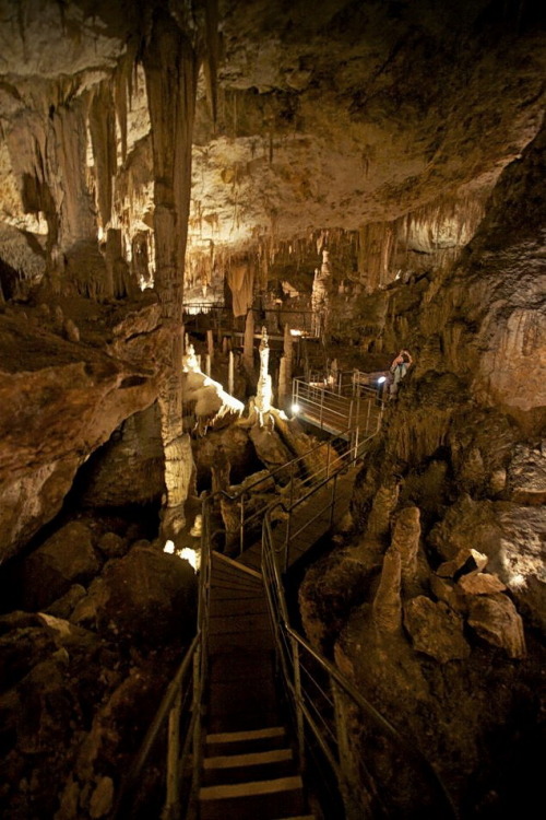 “Tourist walkway through Mammoth Cave / Western Australia .”