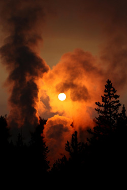 lamescapes:  Norris Geyser Basin, Yellowstone National Park 