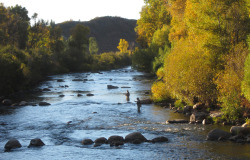 A Fly Fishing Woman