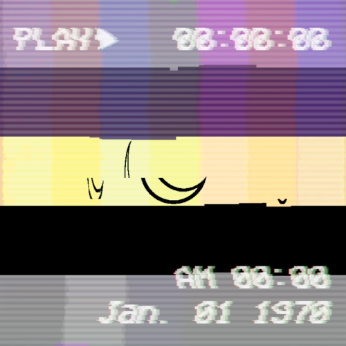 whimsy-flags:And I can’t stop so more VHS Flags!Transfem | Nebulagender | TransmascSolarian | Stella