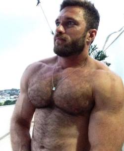 hairymacho:  http://hairymacho.tumblr.com/