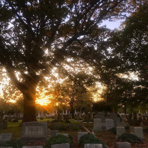 Walked around the cemetery, on Halloween, listening to John Carpenter on a windy night around sunset