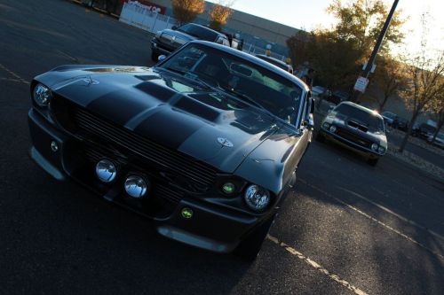 Muscle Cars Fans