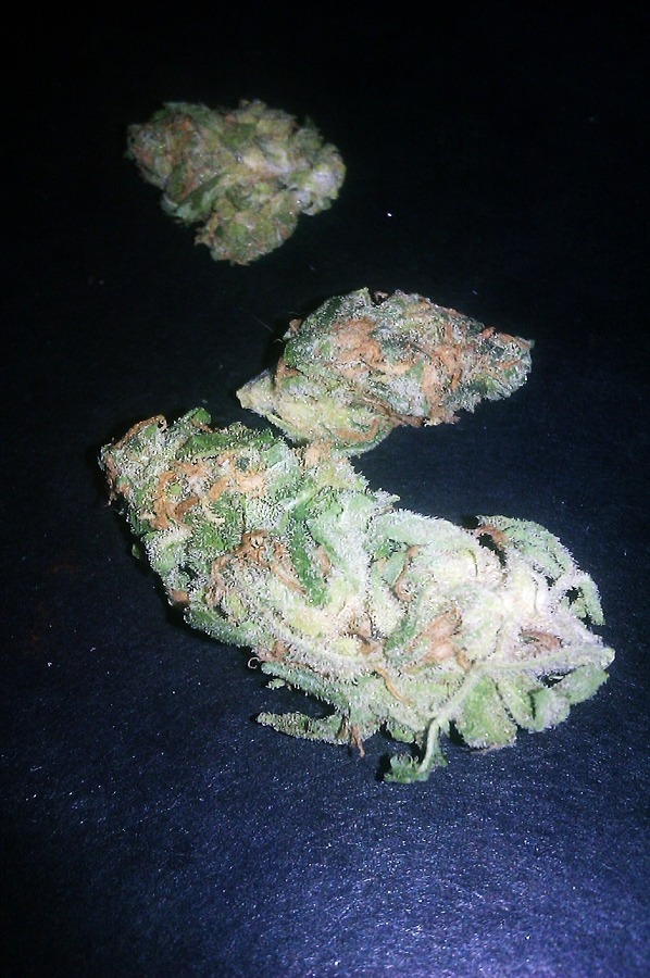puffpuffpeace:  stinky cheese  