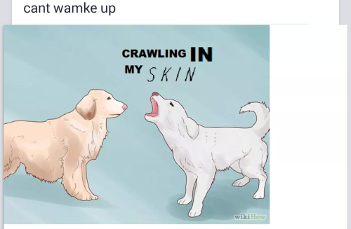 shitpost ghost