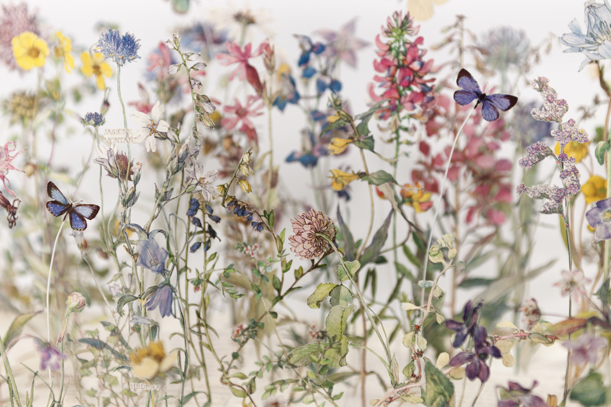 aqua-fae:  Big Spring Mood  Wild Flowers of the British Isle by Su Blackwell 