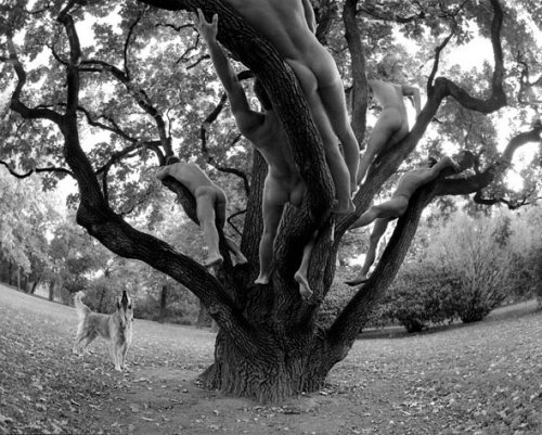 yournaughtyangel:  well-la-de-fricken-da:  I need to upgrade my landscaping the-naughty-southern-belle sensualsynergy65 icequeenmelting asubssoul2013 soft-kitti3   Hmm do you think they’re ripe, well-la-de-fricken-da??? Perhaps we should taste one