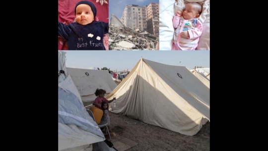 Donate to Support Amal's Family in War-Torn Gaza Escape to Egypt, organized by Brooke Cole