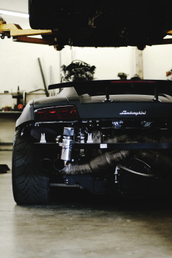 reals:  Twin Turbo Gallardo | Photographer