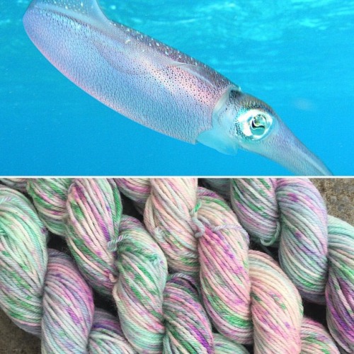Just because the days are long and dark doesn’t mean your yarn has to be! Caribbean Reef Squid