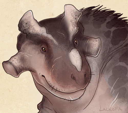 lackofa: Here’s an attempt at Estemmenosuchus mirabilis, a weird ol’ therapsid. While th