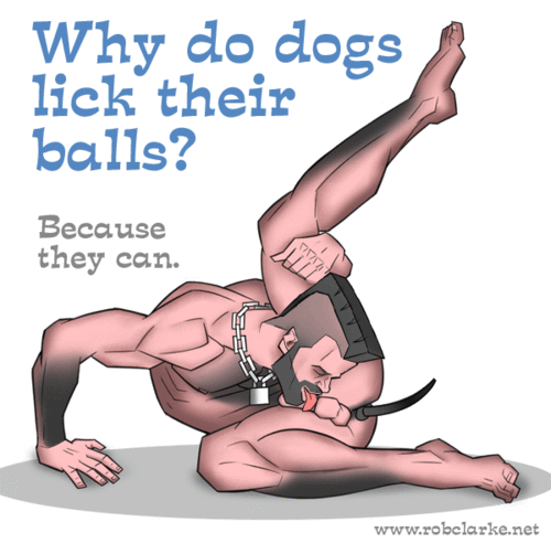 bb-illustrations-n-toons:  illustrations-n-toons   by talented guys! 