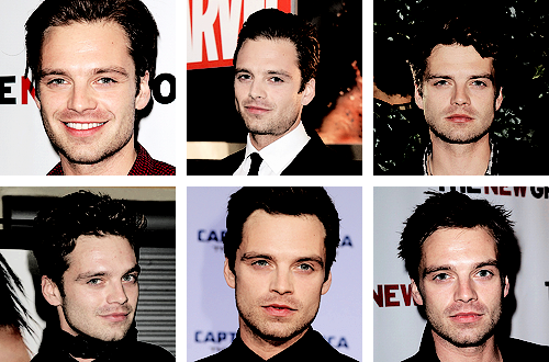 savingbucky: Sebastian Stan + scruff