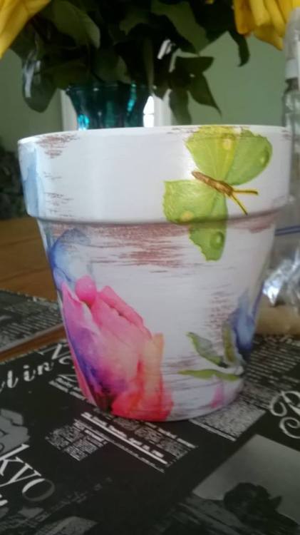 The beautiful handpainted flower pot I bought porn pictures