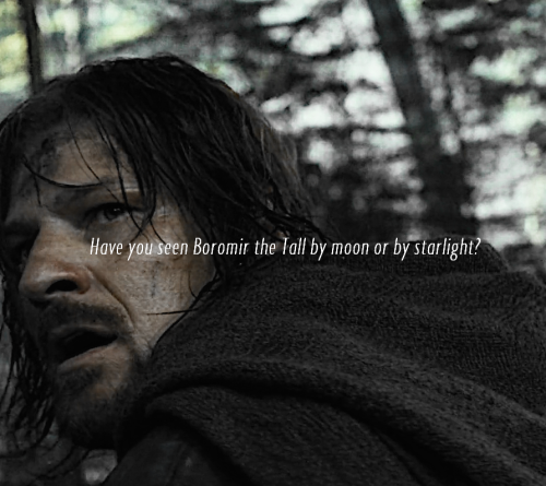 princeimrahils: Oh Boromir! The Tower of Guard shall ever northward gazeTo Rauros, Golden Rauros Fal