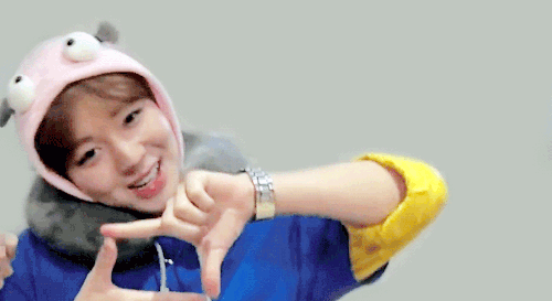 daeswhis:  wanna one maknae line