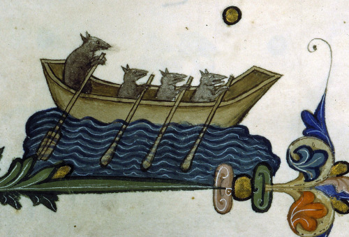 historyisntboring: Four rats rowing a little boat in the margins of Pontifical of Guillaume Durand, 